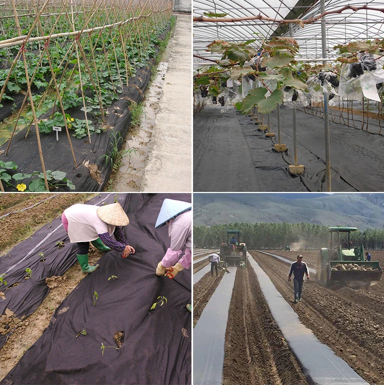 Biodegrable PP Spunbond Non Woven Fabric Agriculture Cover Garden Landscape Weed Control Fabric