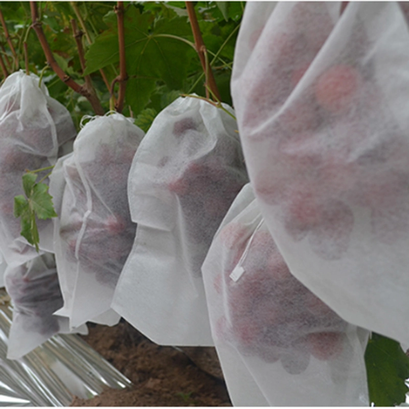 Wholesale Weed Barrier Agriculture Nonwoven Fabric Spunbond PP Nonwoven Fabric