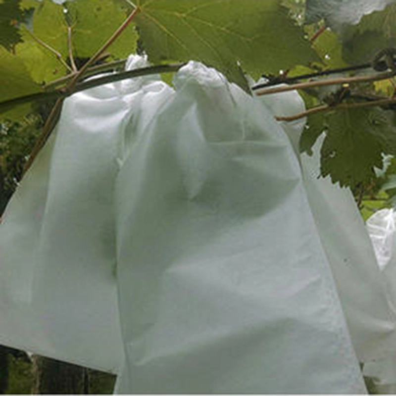 Wholesale Weed Barrier Agriculture Nonwoven Fabric Spunbond PP Nonwoven Fabric