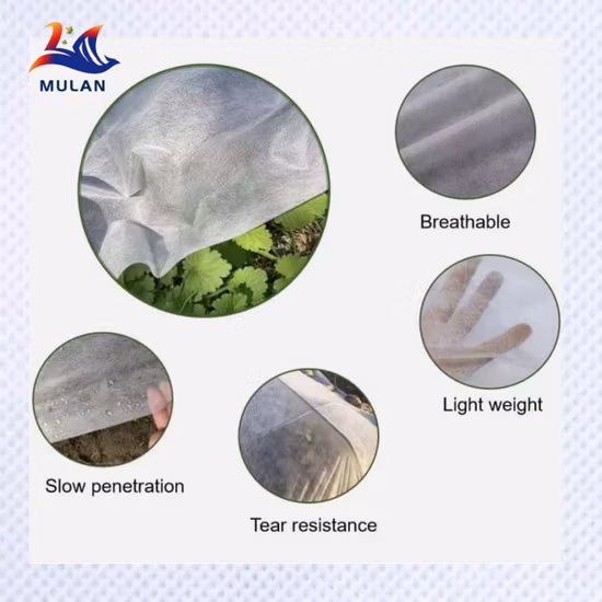 Nonwoven 2022 New Low Cost Finely Processed Agriculture PP Fabric Spunbond Nonwoven