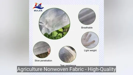 Nonwoven 2022 New Low Cost Finely Processed Agriculture PP Fabric Spunbond Nonwoven