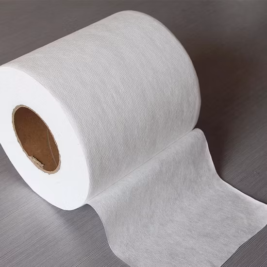 Home Textiles Biodegradable 100% PP Spunbond Nonwoven Fabric for Agriculture Use