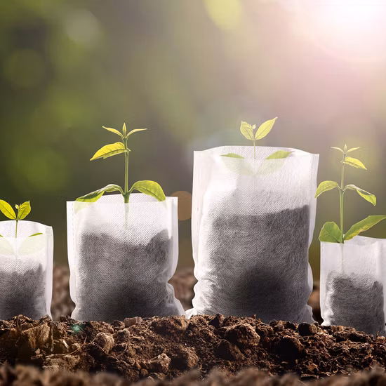 100% PP Spunbond Agriculture Textile Nonwoven Fabric with UV Treatment